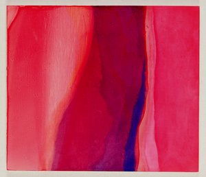 Sari Vis, 2000 door Charlotte Johnstone