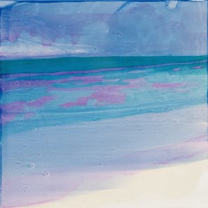 Schildpaddenstrand, 2000 door Charlotte Johnstone