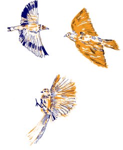 Vogels