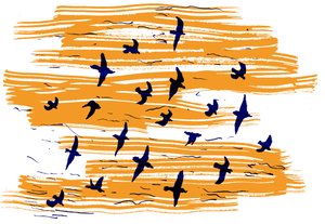 Vliegende Vogels