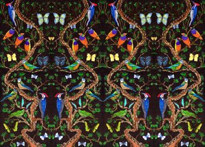 Vogels en vlinders, 2019 door Charlotte Orr