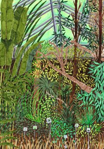 Botanische Tuin, 2017 door Charlotte Orr