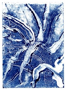 Inktplanten nr.2 door Charlotte Orr