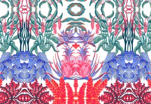 Jungle Jim, 2015