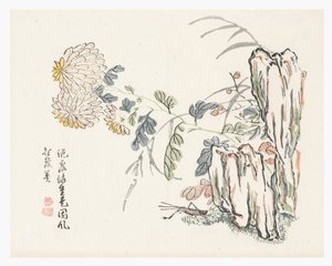 Chrysant, Mustard Seed Garden Manual door Cheng An (after)