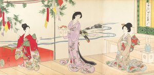 Chiyoda-kasteel album van vrouwen, 1895