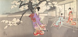 Chiyoda Kasteel Album van Vrouwen