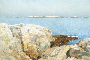 Eiland van de eenden door Childe Frederick Hassam