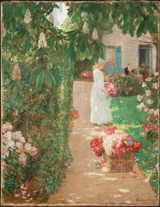 Bloemen plukken in een Franse tuin