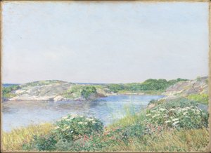 De kleine vijver, Appledore