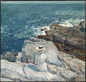 De Zuidelijke Rotsen, Appledore