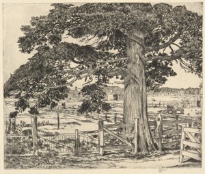 Grote Ceder, Wainscott, L. I., 1929 door Childe Hassam