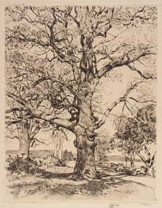 Wayside Inn Eiken in de lente door Childe Hassam