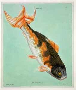 Le Noriroux, gegraveerd door Francois Nicholas Martinet (1731-p.1796)