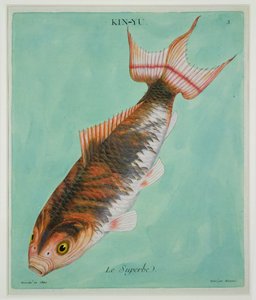 Le Superbe, gegraveerd door Francois Nicholas Martinet (1731-p.1796)