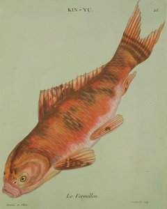 Le Vermillon, gegraveerd door Francois Nicholas Martinet (1731-p.1796)