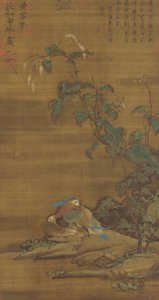 Mandarijneenden onder smartweed, Ming of Qing dynastie