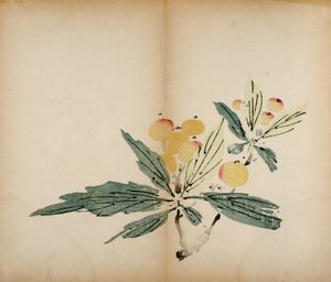 Tien Bamboe Studio Afdrukken, 1643 door Chinese School