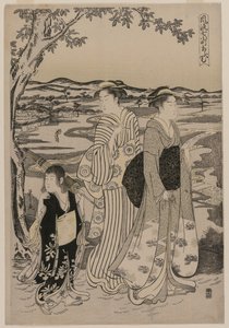 Omu de Papegaai (uit de serie Zeven Elegante Episodes uit het Leven van de Dichteres Ono no Komachi) door Chobunsai Eishi