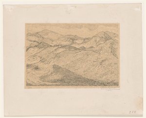Duinlandschap
