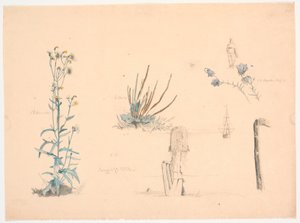 Plantstudies. Een badhuisbrug en een schip door Christen Dalsgaard