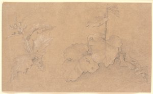 Plantenstudies door Christen Købke