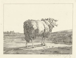 Schaap in een landschap door Christiaan Godfried Schutze van Houten