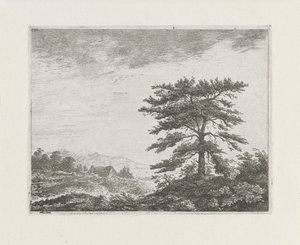 Boom in een heidelandschap door Christiaan Wilhelmus Moorrees
