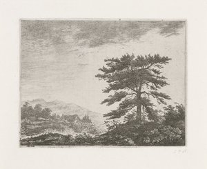 Boom in een heidelandschap door Christiaan Wilhelmus Moorrees