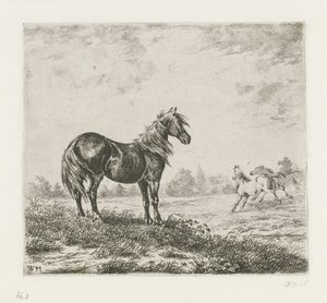 Landschap met drie paarden
