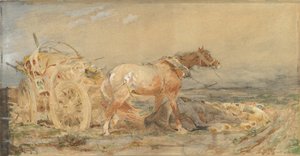 Verlaten: Moerassen van de Donau, voor 1887