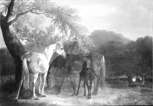 Paarden in bosgebied door Christian David Gebauer