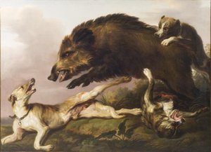 Wilde zwijnenjacht door Christian David Gebauer