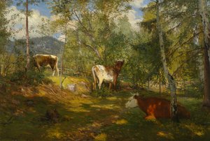 Zonnevlekken in het bos door Christian Eriksen Skredsvig