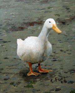 Gans, 2006 (olieverf op doek) door Christian Furr