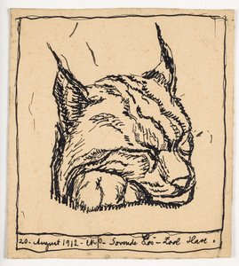 "Slapende lynx"