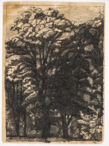 Bomen door Christian Kongstad Petersen