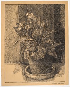 Bloempot met primula