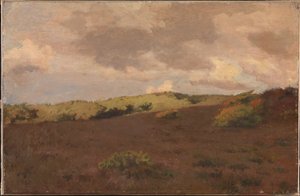 Heidelandschap. Herfst door Christian Mourier Petersen