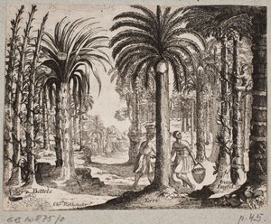 Palmboomgaard met betelpalmen door Christian Rothgiesser