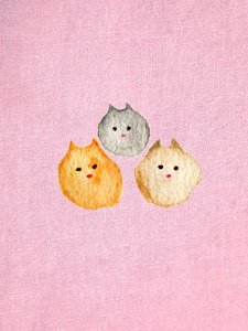 Roze kat