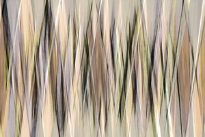  door Christina Sillen