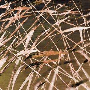 Abstracte rietpatronen door Christina Sillen