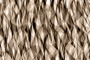 Abstract: Sepia-geometrie door Christina Sillen