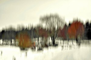 Samenvatting: Winterbos door Christina Sillen