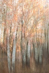  door Christina Sillen