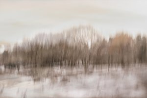 Vage weerspiegeling in het bos door Christina Sillen