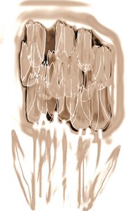 Verfijnde sepia-bloemen door Christina Sillen