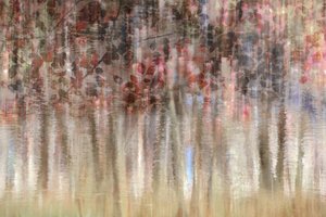 Dromerige herfstreflecties door Christina Sillen