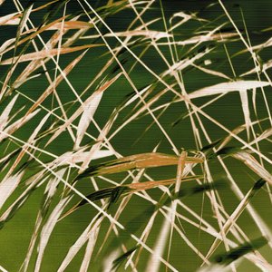 De dynamische schoonheid van de natuur door Christina Sillen
